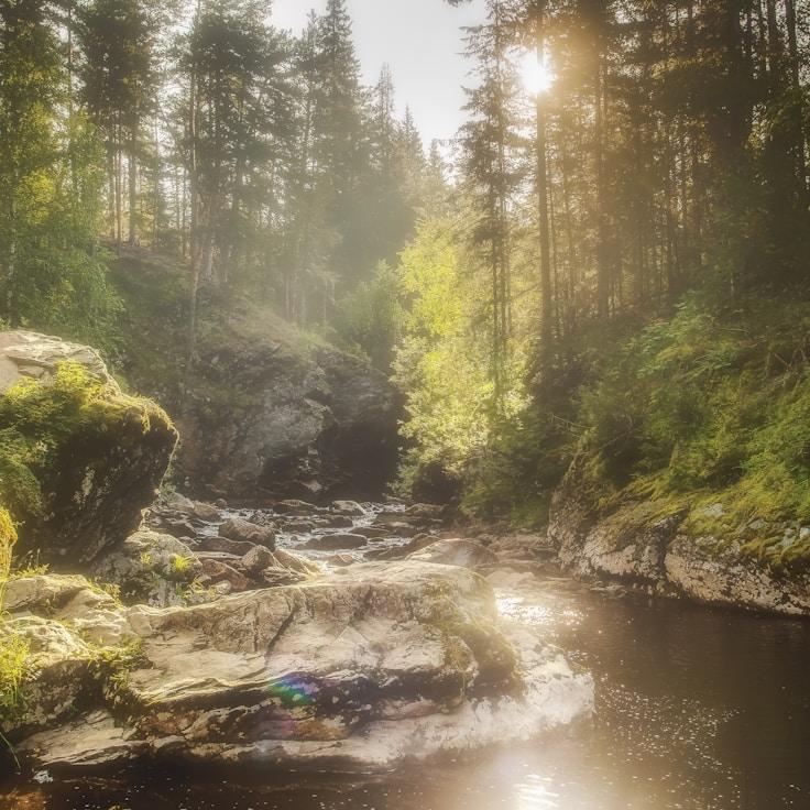 National parks landscape